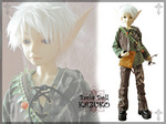 elfa01.jpg