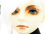 lin02.jpg